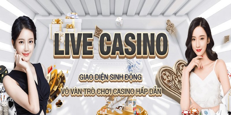 Cá cược minh bạch và chất lượng tại Casino Luck8